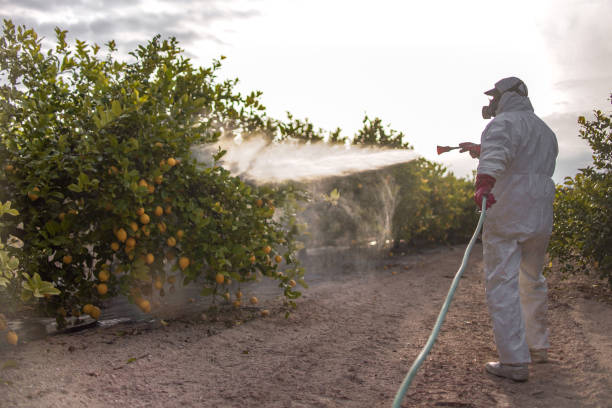Best Best Pest Control Companies  in Greenwood, MO